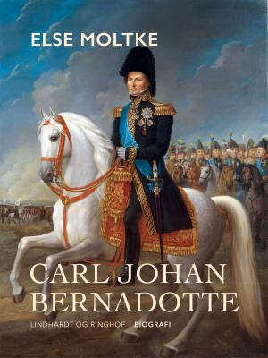 Cover of the book Carl Johan Bernadotte by Merete Wilkenschildt
