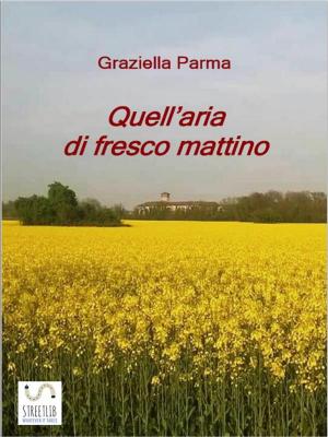 Cover of the book Quell'aria di fresco mattino by Claudia Ene