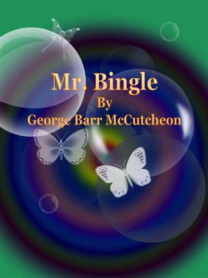 Book cover of Mr. Bingle