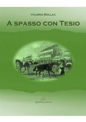 Cover of the book A spasso con Tesio by Skylar Hoffman