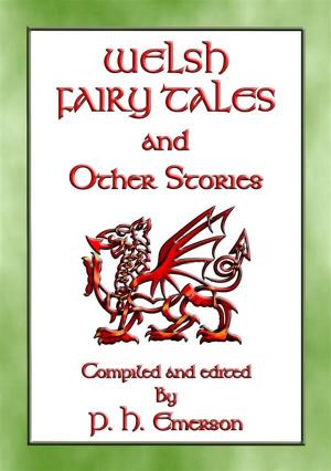 Cover of the book Welsh Fairy Tales And Other Stories by Anon E. Mouse, Illustrated by JOHN R. NEILL, Compiled and Edited by Hartwell James