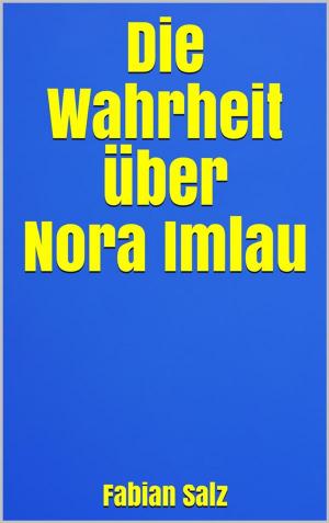 Cover of the book Die Wahrheit über Nora Imlau by Severin König