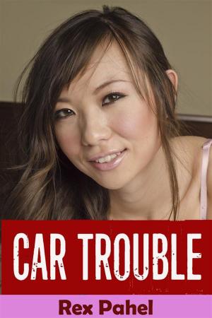 bigCover of the book Car Trouble by 