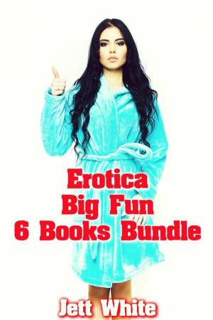 Cover of the book Erotica: Big Fun: 6 Books Bundle by Jett White