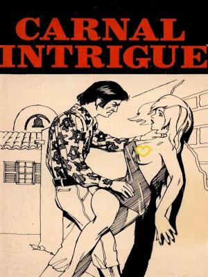 Book cover of Carnal Intrigue (Vintage Erotic Novel)