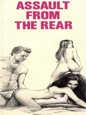 Book cover of Assault From The Rear (Vintage Erotic Novel)