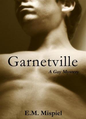 Cover of the book Garnetville: A Gay Mystery by Jane Mesmeri