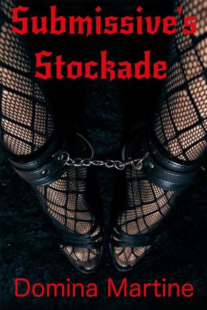 Cover of the book Submissive's Stockade by Domina Martine