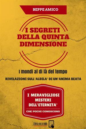 Cover of the book I SEGRETI DELLA QUINTA DIMENSIONE - I mondi al di là del tempo - Rivelazioni sull’aldilà di un’anima beata by Beppe Amico (curatore)