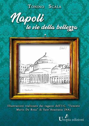 Cover of Napoli, le vie della bellezza