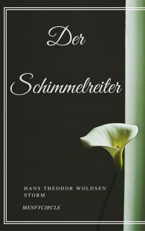 Cover of the book Der Schimmelreiter by Edgar Allan Poe