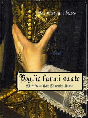Cover of the book Voglio farmi santo by san Giovanni della Croce