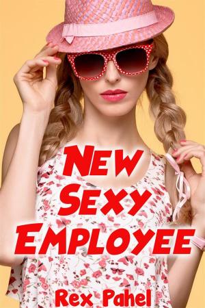 Cover of the book New Sexy Employee by Kelsey Charisma
