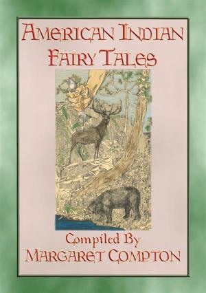 Book cover of AMERICAN INDIAN FAIRY TALES - 17 Illustrated Fairy Tales