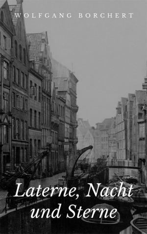 Cover of the book Laterne, Nacht und Sterne by Franz Kafka