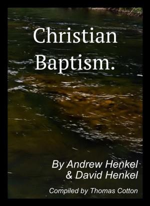 Book cover of Christian Baptism.