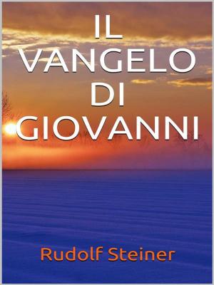 Cover of the book Il Vangelo di Giovanni by Daniele Antares