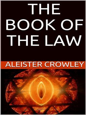 Cover of the book The book of the law by Aurelio Nicolazzo