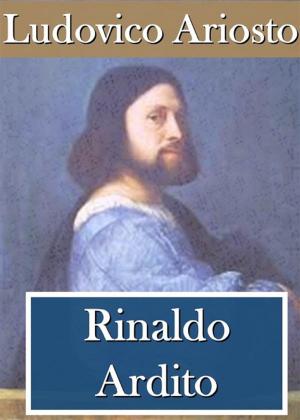 Cover of the book Rinaldo Ardito by Luigi Plos