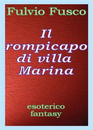 Cover of the book Il rompicapo di villa Marina by Cinzia Randazzo