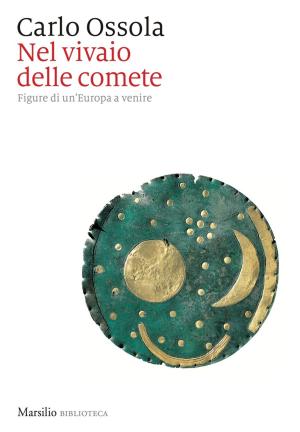 Cover of the book Nel vivaio delle comete by Simone Sarasso, Lorenza Ghinelli, Daniele Rudoni