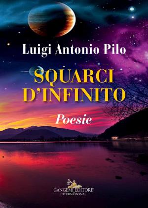 Book cover of Squarci d'infinito
