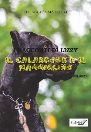 Cover of the book Il calabrone e il Maggiolino by Marco Vecchi