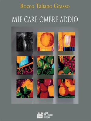 Cover of the book Mie care ombre addio by Angelo Avignone