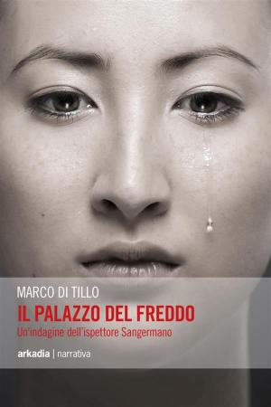 Cover of the book Il palazzo del freddo. Un'indagine dell'ispettore Sangermano by Catherine LANG