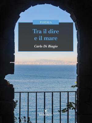 Cover of the book Tra il dire e il mare by Nicoletta Marconi