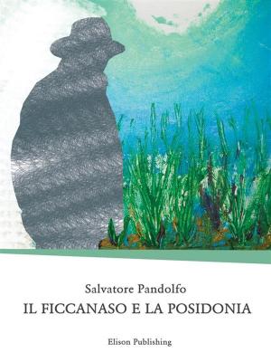Cover of the book Il ficcanaso e la posidonia by Giuseppe Magnarapa