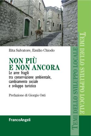 Cover of the book Non più e non ancora by Luca Vallario