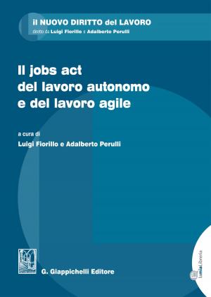 Book cover of Il jobs act del lavoro autonomo e del lavoro agile