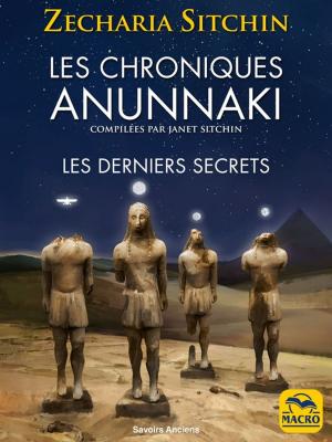 Book cover of Les Chroniques Anunnaki