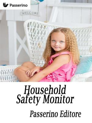 Cover of the book Household Safety Monitor by Stefano Scola