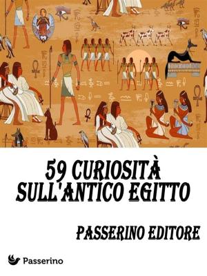 Cover of the book 59 curiosità sull'Antico Egitto by Marcello Colozzo