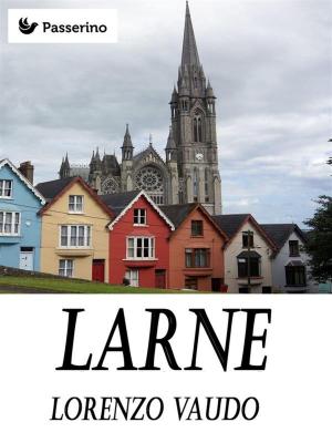 Cover of the book Larne by Apuleio