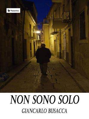 Cover of the book Non sono solo by Antonio Fogazzaro