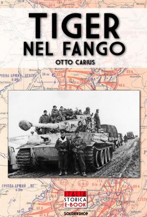 Cover of the book Tiger nel fango by Riccardo Affinati