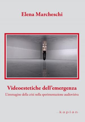 Cover of the book Videoestetiche dell'emergenza by Lionel Parrini, Jean-Marc WEBER