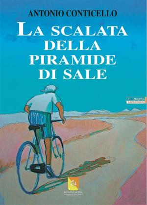 Cover of the book La scalata della piramide di sale by Lucia De Cristofaro