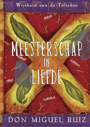 Cover of the book Meesterschap in liefde by Jolanda Hazelhoff