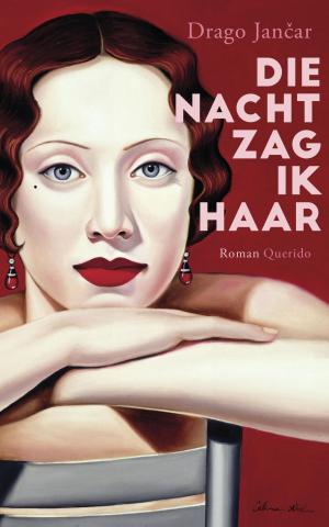 Cover of the book Die nacht zag ik haar by Anna Woltz