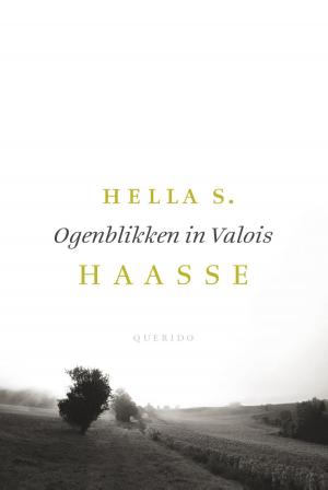 Cover of the book Ogenblikken in Valois by Aryan van der Leij