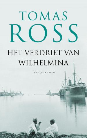 Book cover of Het verdriet van Wilhelmina