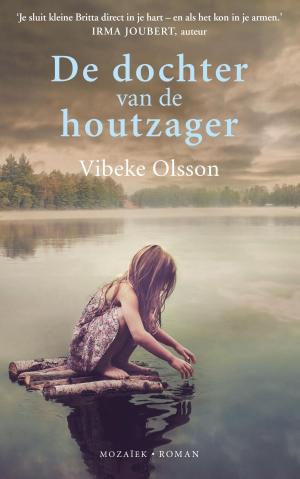 Cover of the book De dochter van de houtzager by H.J. van der Veen
