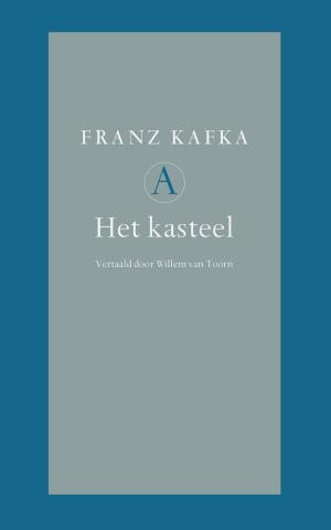Cover of the book Het kasteel by Beitske Bouwman