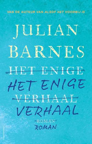 Cover of the book Het enige verhaal by Inge Schouten
