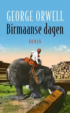 Cover of the book Birmaanse dagen by Hella S. Haasse