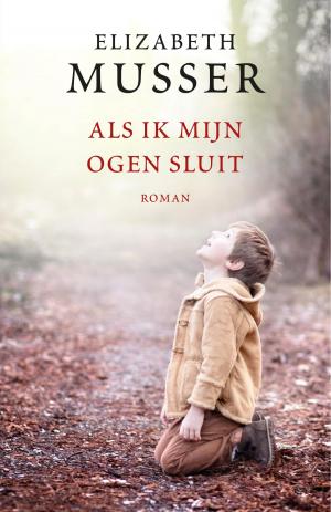 Cover of the book Als ik mijn ogen sluit by Olga van der Meer